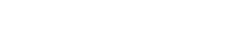 LÍDERES EN EL SECTOR DE COMPRA  DE COCHES DE 2ª MANO Reserva de Dominio | Embargos | Deudas | Impuestos | Quiebras | Precinto