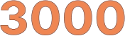 3000